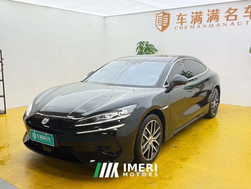 Denza Z9 DM 2.0T 201km 1100 Max Edition - car from China