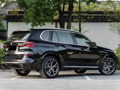 BMW X5 xDrive30Li Deluxe VersionM - photo 8