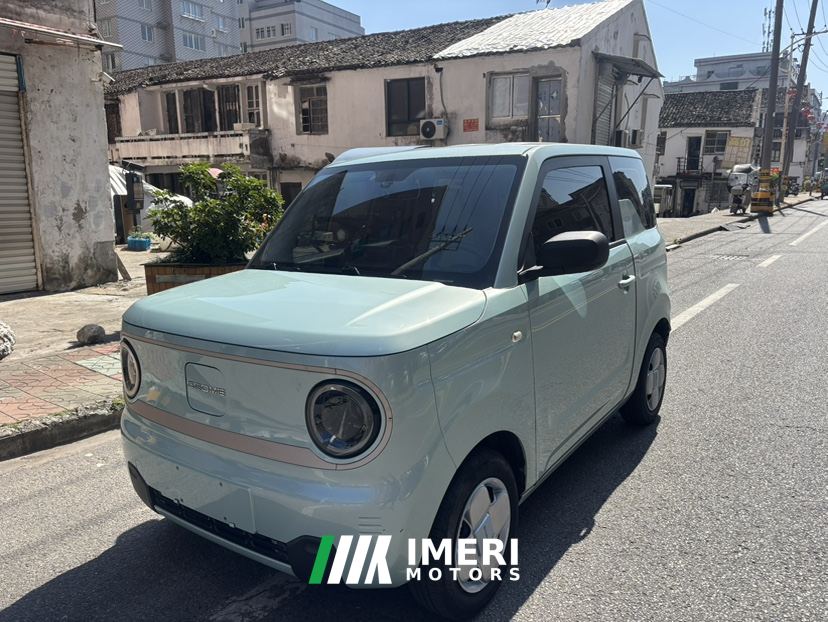 Geely Panda mini Edition 200km - car from China