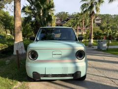 Geely Panda mini Edition 200km - photo 2