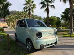 Geely Panda mini Edition 200km - photo 3