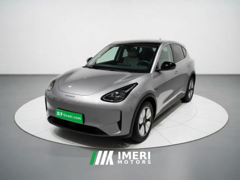 2025 Geely Star Wish 310km Edition - car from China