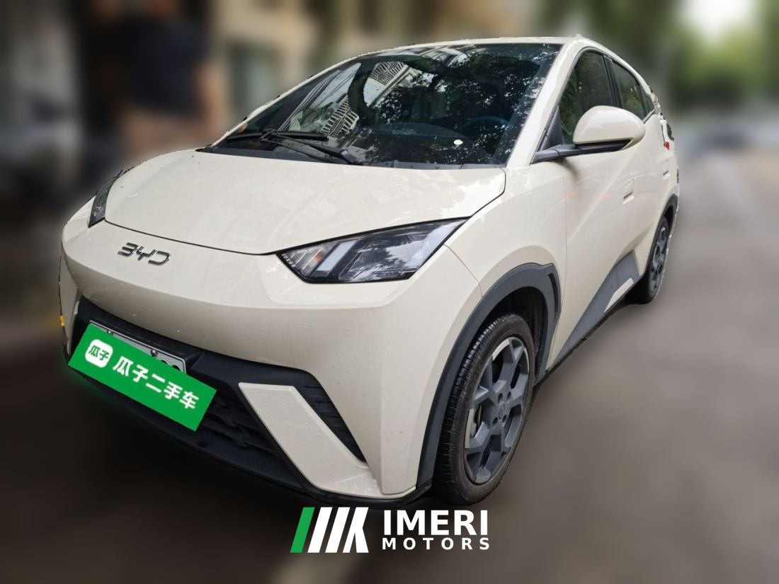 BYD Seagull 405km Flying Edition - car from China
