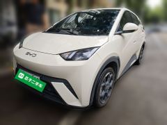 BYD Seagull 405km Flying Edition - photo 1