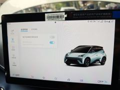 BYD Seagull 405km Flying Edition - photo 20