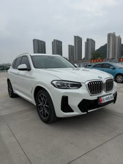 BMW X3 xDrive25i M Sport Package - ფოტო 3