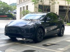 Tesla Model Y 688km Long Range AWD - фото 1