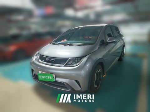 2021 BYD Dolphin 405km Stylish Edition - ავტომობილი ჩინეთიდან
