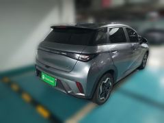 BYD Dolphin 405km Stylish Edition - ფოტო 4