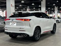 Oshan Z6 2.0T Version - ფოტო 9