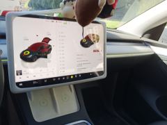 Tesla Model Y 554km Rear-Wheel Drive Edition - ფოტო 9