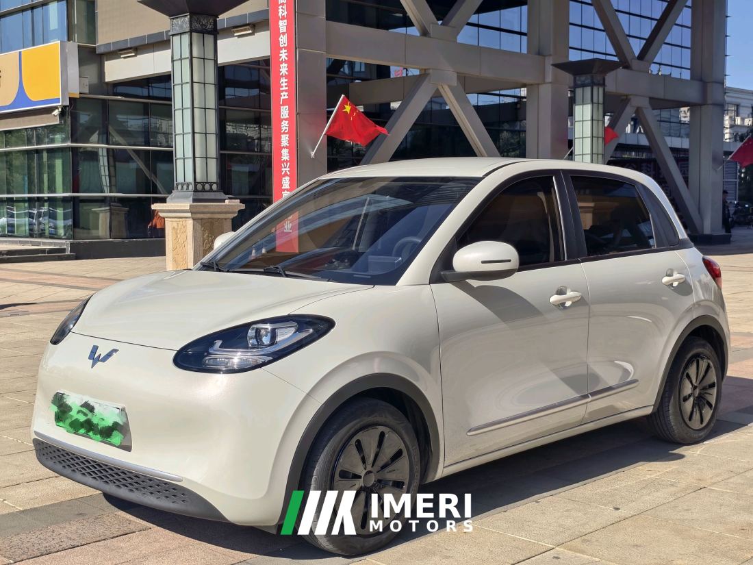 Wuling Bingo Binguo 203km Light Enjoy Edition - ავტომობილი ჩინეთიდან