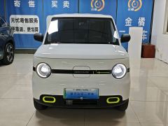 Geely Galaxy Panda mini 210km Yuanqi Bear - фото 5