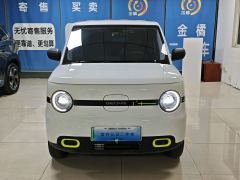 Geely Galaxy Panda mini 210km Yuanqi Bear - фото 6