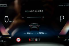 BMW 5 Series Facelift 530Li Premier M Sport Package - ფოტო 10