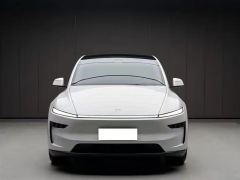 Tesla Model Y 593km Edition - фото 2
