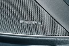 BMW 3 Series 330Li M Sport Night Edition Package - ფოტო 18