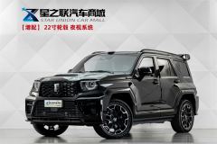 Tank 700 New Energy 700 Hi4-T 2.0T Hi4-Z Ultimate Edition - photo 1