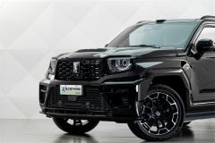 Tank 700 New Energy 700 Hi4-T 2.0T Hi4-Z Ultimate Edition - photo 3