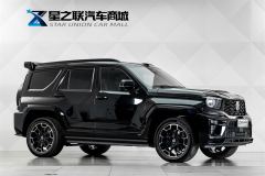 Tank 700 New Energy 700 Hi4-T 2.0T Hi4-Z Ultimate Edition - photo 5