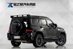 Tank 700 New Energy 700 Hi4-T 2.0T Hi4-Z Ultimate Edition - photo 6