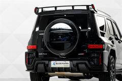 Tank 700 New Energy 700 Hi4-T 2.0T Hi4-Z Ultimate Edition - photo 7