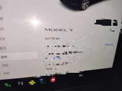 Tesla Model Y 545km Rear-Wheel Drive Edition - ფოტო 8
