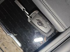 Ford Mustang Mach-E 619km Long RangeLuxury Edition - фото 9