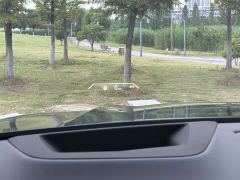 BMW X5 xDrive30Li Deluxe VersionM - ფოტო 7