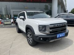 Haval Great Wall Big Dog 1.5T 2WD Labrador Edition - photo 3