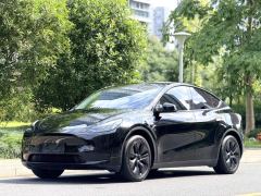 Tesla Model Y 554km Rear-Wheel Drive Edition - ფოტო 1
