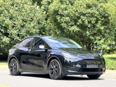 Tesla Model Y 554km Rear-Wheel Drive Edition - ფოტო 2