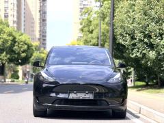 Tesla Model Y 554km Rear-Wheel Drive Edition - ფოტო 3