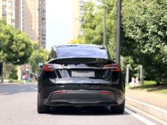Tesla Model Y 554km Rear-Wheel Drive Edition - ფოტო 8