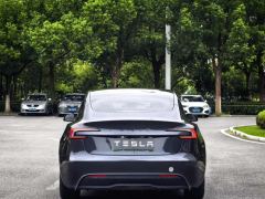 Tesla Model 3 634km Rear-Wheel Drive Edition - photo 9