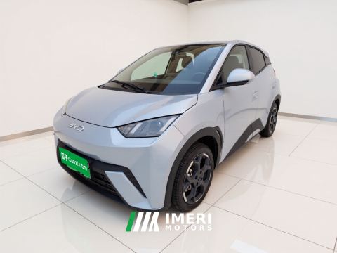2025 BYD Seagull 305km Free Version - ავტომობილი ჩინეთიდან