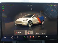 Tesla Model Y 545km Rear-Wheel Drive Edition - ფოტო 20