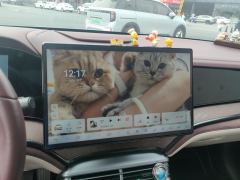 BYD Seal DM-i 1.5L 121km Prestigious Edition - photo 17