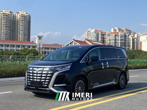 2022 Denza D9 DM-i 1040 Premium - car from China