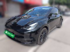 Tesla Model Y Standard endurance rear-wheel drive - фото 1