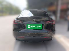 Tesla Model Y Standard endurance rear-wheel drive - фото 3
