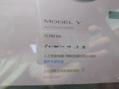 Tesla Model Y Standard endurance rear-wheel drive - фото 8