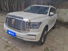 Tank 500 3.0T Business Edition 5 - photo 1