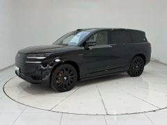Denza N9 2.0T 202km Flagship - ფოტო 1