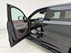 Denza N9 2.0T 202km Flagship - ფოტო 8