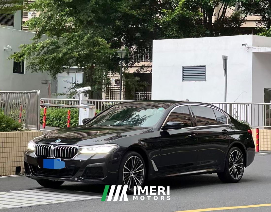 BMW 5 Series 530Li Premier Luxury Package - автомобиль из Китая