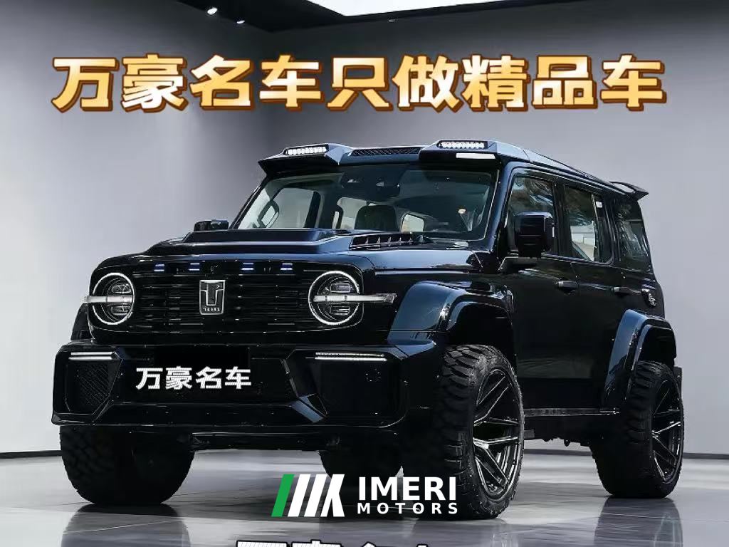 Tank 300 2.0T Conquistador Gasoline - car from China