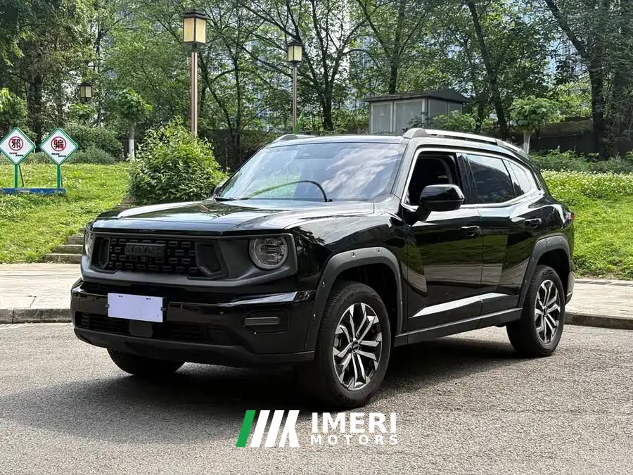 Haval Dargo PLUS 2.0T 2WD Edition - car from China