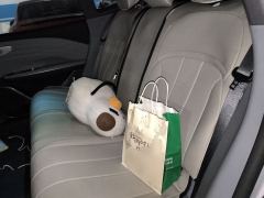 Geely Galaxy E8 550km Rear-Wheel Drive MAX - фото 13
