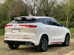 Oshan Z6 1.5T Smart Version - ფოტო 10